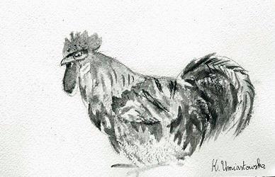 Année du coq