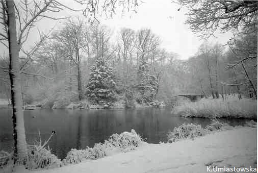 Etang de Villeneuve (2)