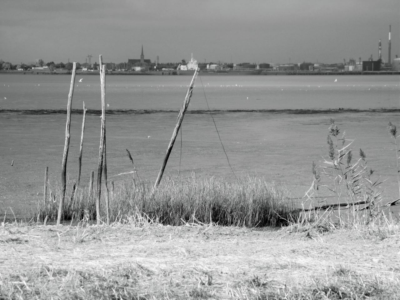 Bords de Loire à Paimboeuf