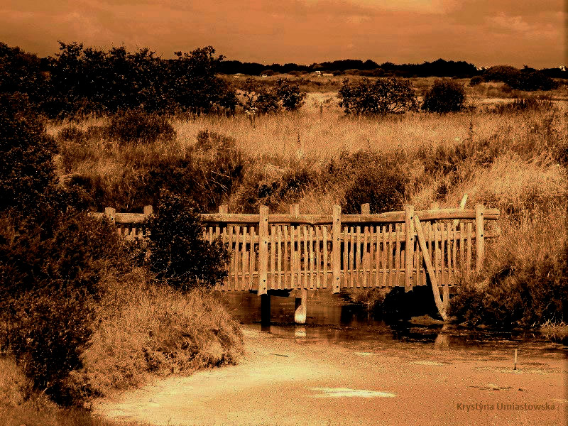 Le petit pont de bois