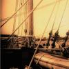 Les voiles de la liberté