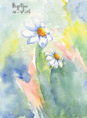 Marguerites