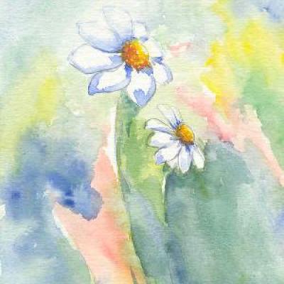 Marguerites