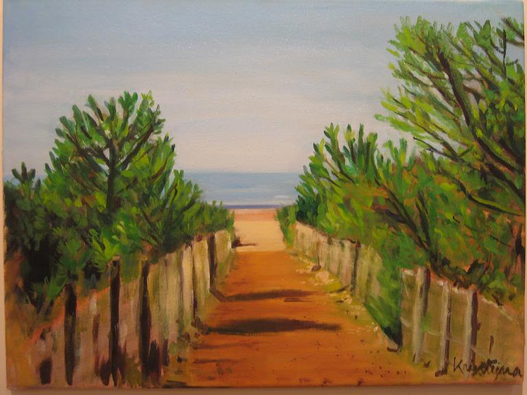 Chemin vers la plage