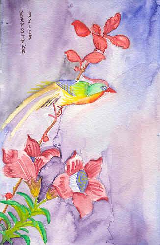 Colibri, par Krystyna Umiastowska