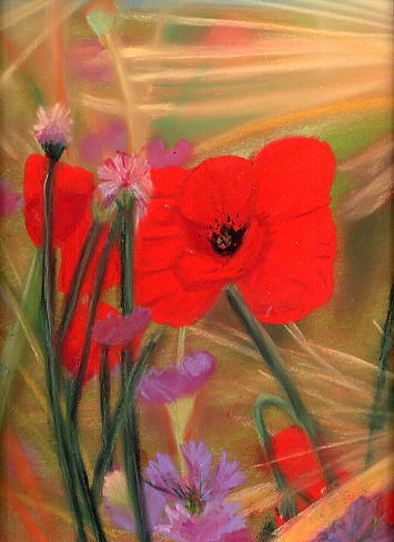 Coquelicots, par Krystyna Umiastowska