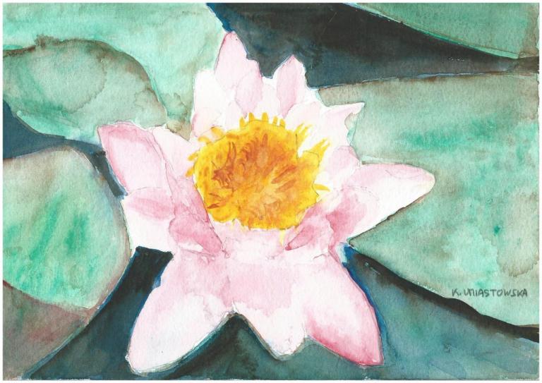 Fleur de lotus, par Krystyna Umiastowska