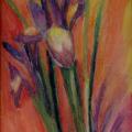 Iris,  par Krystyna Umiastowska